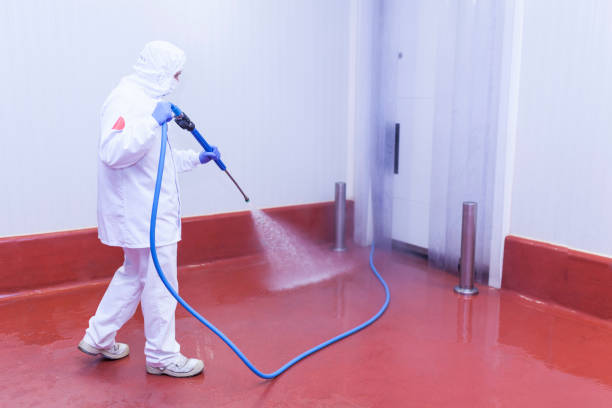 Best Patio and Deck Pressure Washing  in Scott Af, IL